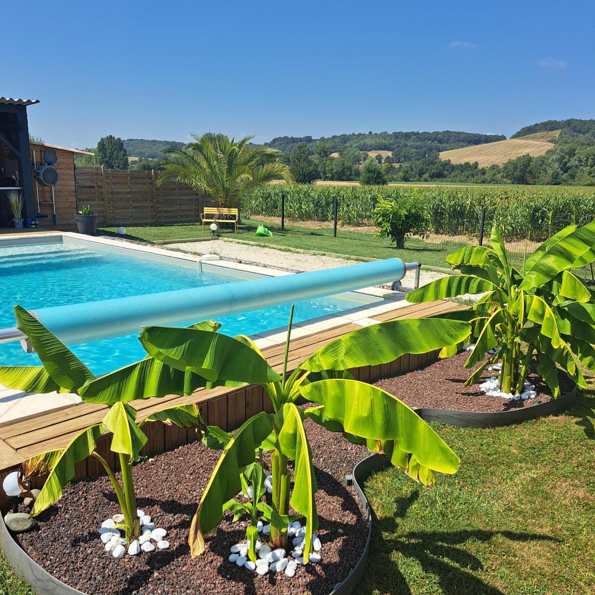 Вілла Le Domaine Vesque Saint-Pierre-de-Clairac Екстер'єр фото