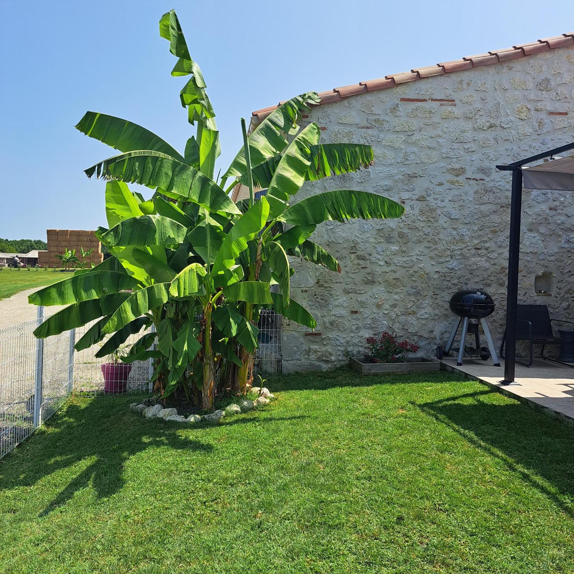 Вілла Le Domaine Vesque Saint-Pierre-de-Clairac Екстер'єр фото